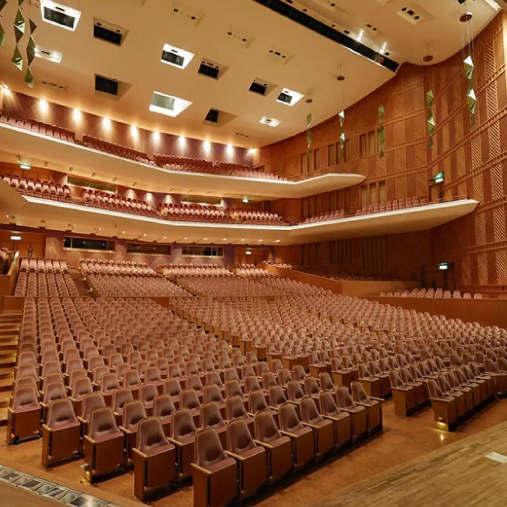 チケット オーケストラ福山定期Vol.15 京都市交響楽団 B席ペアチケット 2026年10月12日(月・祝)16時開演 [BAFS024] チケット