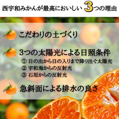 特選みかん「蜜る」計250kg(約2.5kg×100箱)【H08−86】【1510469】