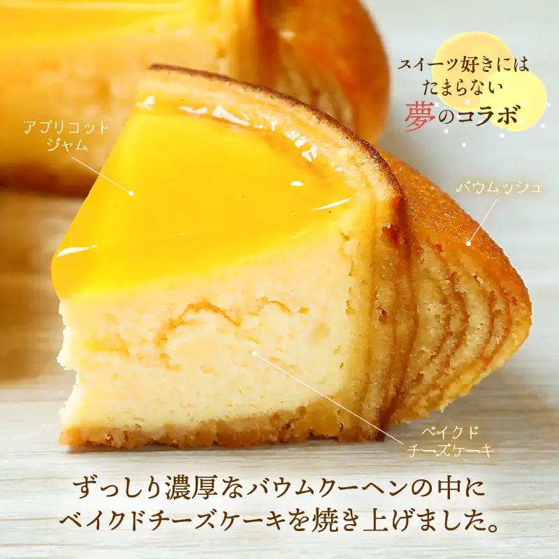 【寄附額見直し】ムッシュフロマージュ 約4.5号 2個 スイーツ お菓子 [A-08234]