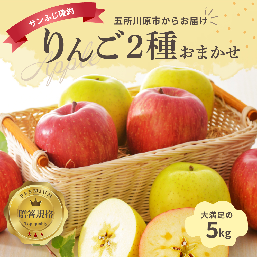 【2027年1月前半発送】りんご 約5kg 青森産 サンふじ 確約 品種おまかせ2種以上 贈答用 特選～特秀
