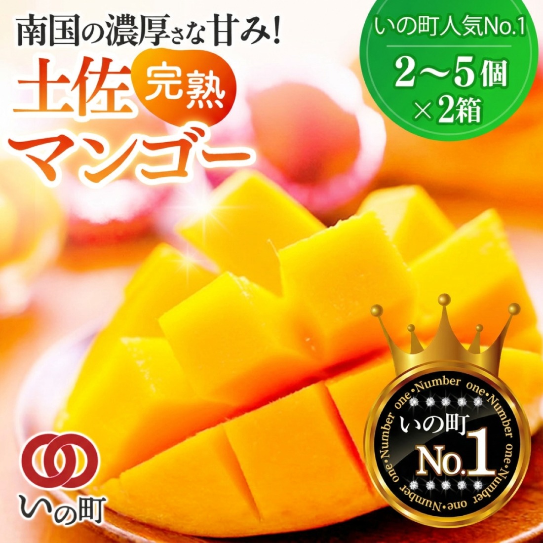 かおる・とろける！土佐マンゴー(2～5個)×２箱