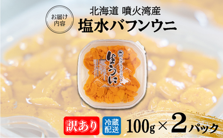 訳あり 北海道 噴火湾産 塩水 バフンウニ 100g 2パック 計200g うに ウニ 雲丹 海鮮 海の幸 魚介類 ウニ丼 お寿司 濃厚 無添加 産地直送 お取り寄せ 山村水産 送料無料