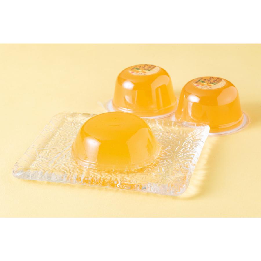 ＜房洋堂＞房総果樹園　15個入り