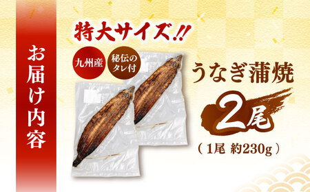 ＼丑の日にまだ間に合う！／ 鹿児島産 うなぎ 蒲焼 2尾セット 桂川町/山水商事 [ADAH008] うなぎ 鰻 ウナギ うなぎ 鰻 ウナギ うなぎ 鰻 ウナギ うなぎ 鰻 ウナギ うなぎ 鰻 ウナギ