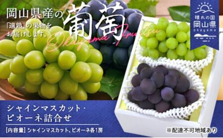 シャインマスカット・ピオーネ詰合せ 各1房（クール便）｜ ぶどう ぶどう