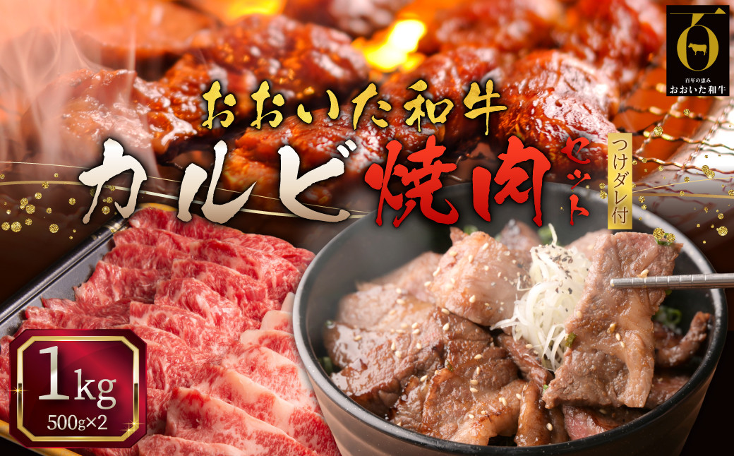 
                  おおいた和牛カルビ焼肉セット【500g×2(合計1kg)】つけダレ付 G8
                