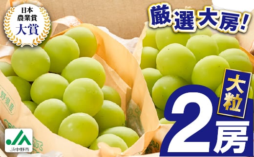 
            ＜ふるさと納税＞2025年先行予約　9月上旬～10月下旬発送JA中野市大粒 大房シャインマスカット2房1.3kg以上_ シャインマスカット 長野県 2024 4L 贈答用 ギフト ふるさと ぶどう 葡萄 ブドウ フルーツ 果物 ＜配送不可地域：離島＞【1459211】
          