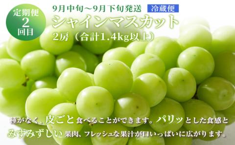 フルーツ 定期便 2024年 先行予約 晴れの国 おかやま の ニュー ピオーネ 4房（2kg以上） シャイン マスカット 4房（2kg以上） シャイン マスカット 4房（2.4kg以上） 岡山県産