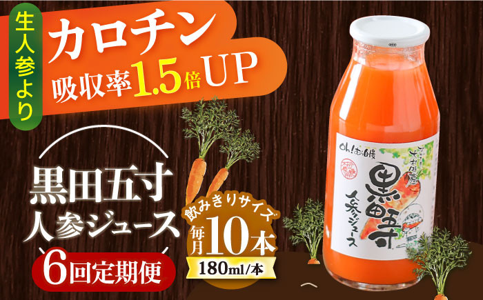 
            【6回定期便】黒田五寸人参ジュース180ml 10本セット 総計60本 / ジュース じゅーす にんじん ニンジン 人参 ニンジンジュース 人参ジュース 野菜ジュース やさいジュース ドリンク 飲料水 / 大村市 / おおむら夢ファームシュシュ[ACAA161]
          