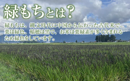 もち米（緑もち）精米3kg