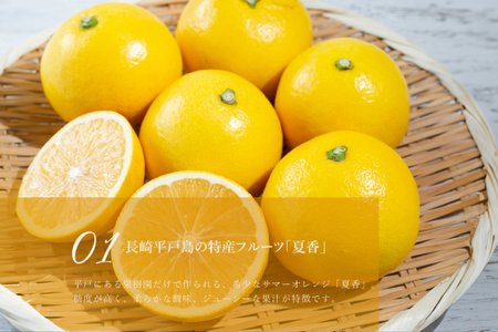 柑橘 スイーツ 夏香 チーズ タルト 1ホール 18cm [心優-Cotoyu Sweets- 長崎県 平戸市 hr42bjo490071]