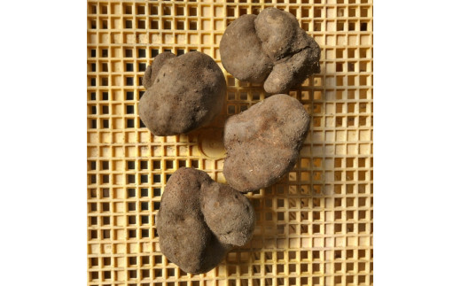 丹波篠山産　山の芋　優品　3kg（8-14玉）　滋養強壮 健康