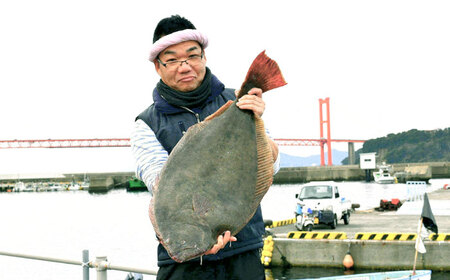 【全3回定期便】平戸特産 ひらめの刺盛 計240g(約80g×3回)【平戸さくら水産】[KAA241]/ 長崎 平戸 魚介類 魚 刺身 ひらめ ヒラメ 特産 定期便