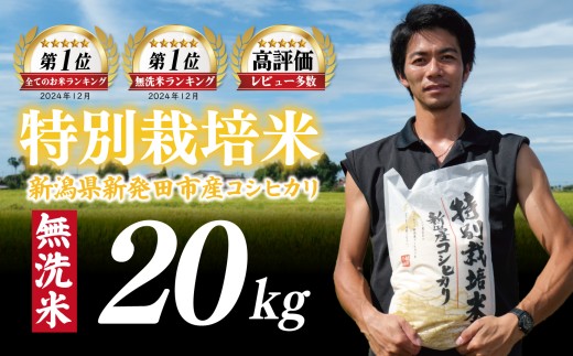 【最短7日発送】無洗米 コシヒカリ 20kg 令和7年産 特別栽培米 こしひかり 米  お米 こめ 新潟米 新潟県産 新潟産 新潟 新潟県 新発田産 新発田 新発田市 斗伸 toushin025