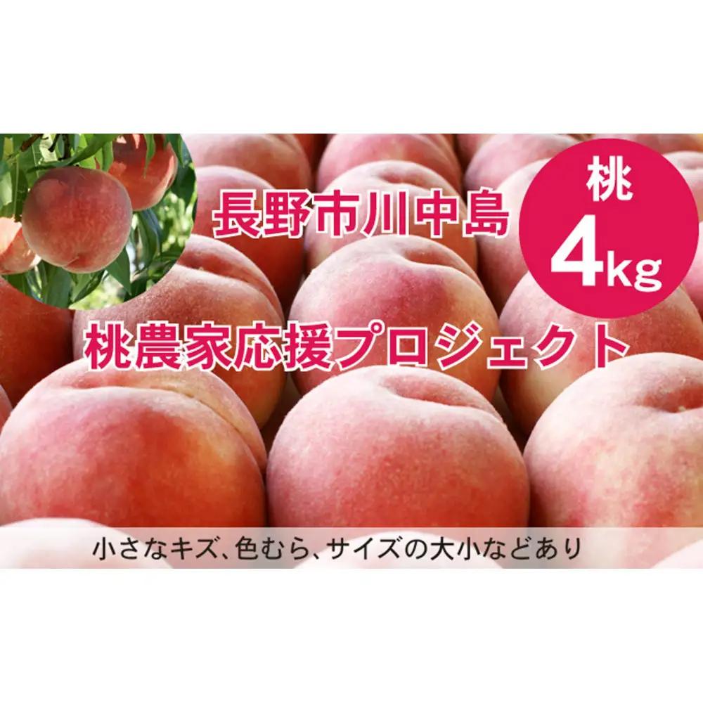 【※2027年7月以降発送分　先行受付】桃 4kg(長野市川中島の桃農家を応援プロジェクト) | 桃　もも