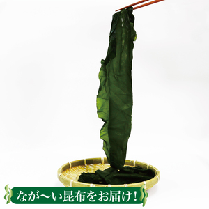塩蔵こんぶ1.6kg 200g×8袋 昆布