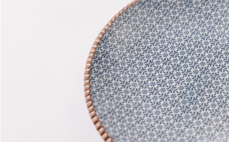 いげ皿胡麻鍋島小紋(渕銹)21cm1点 NAZ504 