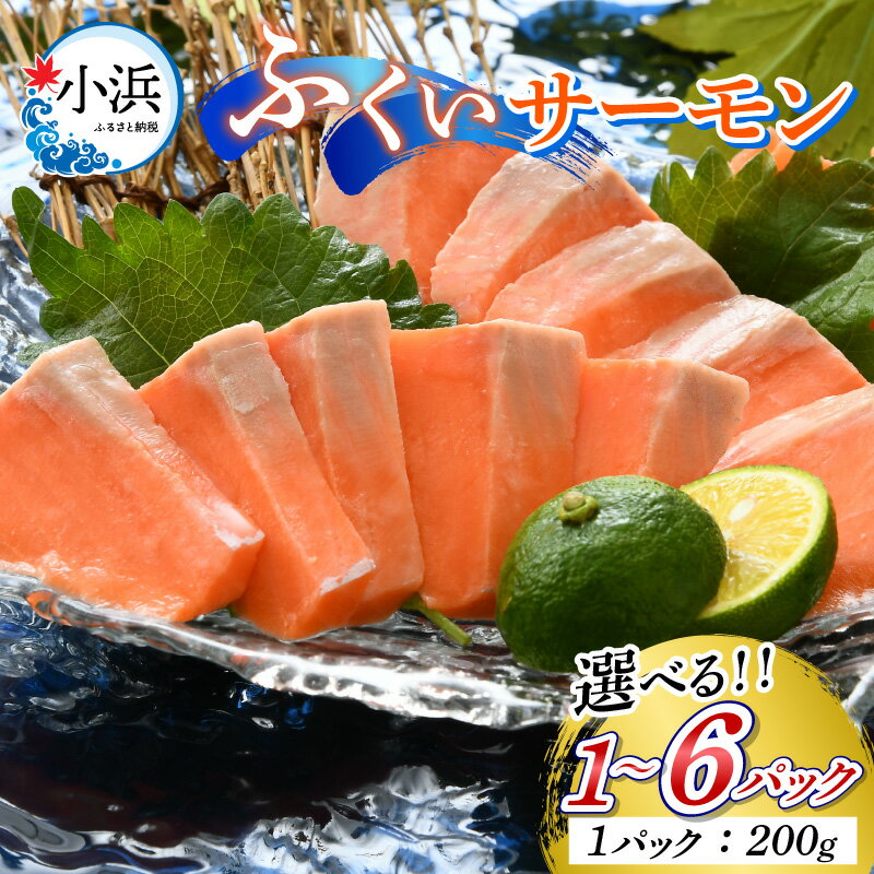 【ふるさと納税】【先行予約】国産 ふくいサーモン【数量が選べる】200g〜1.2kg【2025年6月以降順次発送】 | 海鮮 魚介 魚 小分け 真空包装 冷凍 生食可 刺し身 ムニエル サケ 鮭 【配送不可地域：北海道・沖縄・離島】 [BFAA072]