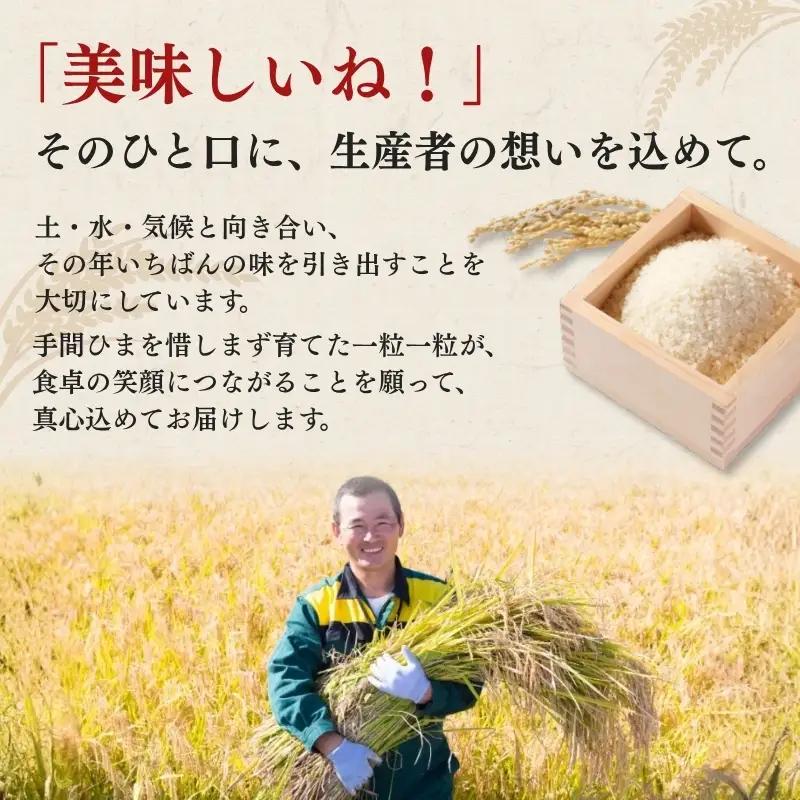 【最短3日配送】新之助 精米 上越産 送料無料 米 新之助 10kg