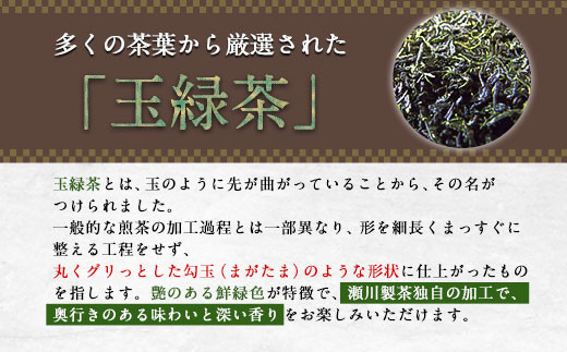 玉緑茶(たまりょくちゃ)「一番茶」 100g×5本  大津町産  瀬川製茶《60日以内に出荷予定(土日祝除く)》---so_sgwtam_60d_20_12000_500g---