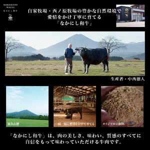 宮崎県西ノ原牧場・なかにし和牛霜降りすき焼きロース 600g（国産 牛肉 肉 宮崎牛 黒毛和牛 お肉 すき焼き なかにし和牛 焼肉 人気 ロース 霜降り)