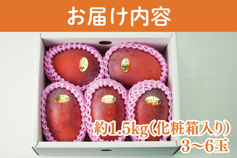 【2025年6月より順次発送】アーウィンマンゴー 3～6玉(約1.5kg)【白箱】 ご家庭用｜マンゴー アーウィンマンゴー アーウィン フルーツ 果物 くだもの おきなわマンゴー おきなわ 沖縄県 豊見城市 家庭用(AE012)