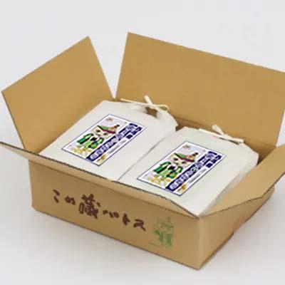 ふるさと納税 西尾市 令和6年産 西尾のお米10kg(こしひかり5Kg×2)・K195-26 |  | 01