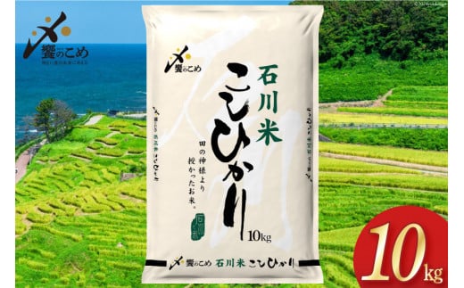 米 令和6年 石川県産 石川米こしひかり【穂立】10kg [中橋商事 饗のこめ (あえのこめ) 石川県 宝達志水町 38601198] コシヒカリ お米 コメ 白米 精米 おこめ こめ 10キロ ごはん ご飯 国産