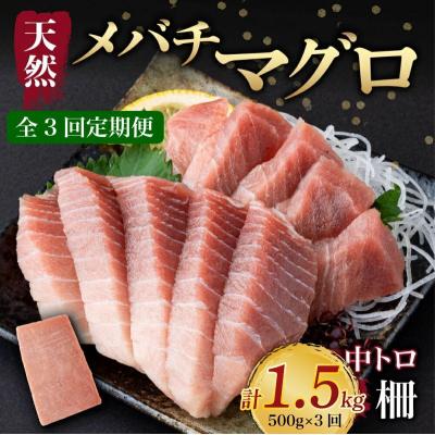 ふるさと納税 室戸市 【 3回定期便 】 天然メバチマグロ 【 中トロ 】500g(柵)