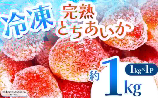 【栃木県共通返礼品】完熟冷凍とちあいか 1kg | いちご とちあいか 冷凍 冷凍イチゴ スイーツ ジャム スムージー たっぷり 大粒 甘い 美味しい 果物 デザート 栃木県 那珂川町 送料無料