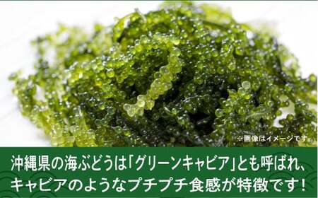 【はごろものまちのグリーンキャビア】 海ぶどう 1kg