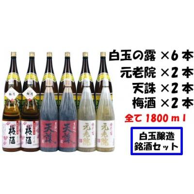 ふるさと納税 錦江町 【魔王の蔵元】白玉醸造の銘酒12本セット(No.8001-1)