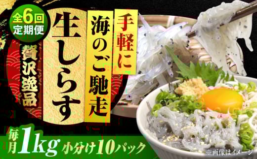 【全6回定期便】しらす 冷凍 生しらす100g×10個 冷凍 しらす シラス 干し 釜揚げ 小分け 魚介類 鮮魚 ギフト 料理 レシピ シラス丼 しらす丼 海鮮丼 生 生産地 おつまみ ご飯のお供 グルメ やみつき 旬 国産 広島県産 リピート ギフト プレゼント 贈答 人気 高品質 好評 保存方法 江田島市/三島水産株式会社 [XCN024]