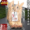 【ふるさと納税】 鶏肉 天草大王 【選べる容量】熊本天草大王 大手羽 6本 9本 12本（3本×2～4パック）1本約25cm 地鶏 手羽先 手羽 鶏肉 塩コショウ 味付け 肉厚 小分け バーベキュー BBQ キャンプ飯 焼くだけ 簡単調理 お取り寄せグルメ 冷凍 国産 熊本県 宇城市 送料無料