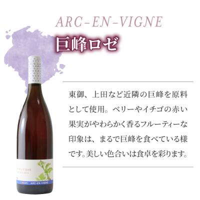 ふるさと納税 東御市 【アルカンヴィーニュ】ワイン・シードル 3種セット(巨峰 スパークリング・シードル・巨峰ロゼ) |  | 03