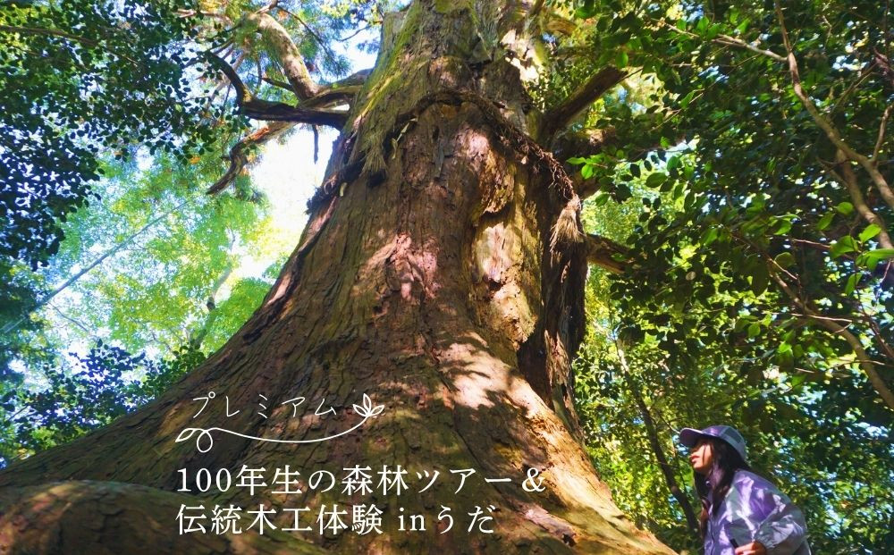 
            100年生の 森林ツアー ＆ 伝統木工体験 inうだ プレミアム／ 体験 関西 子供 親子 チケット 森林浴 ハイキング 木工体験 伝統工芸 林業 夏休み 宿題 MORITO 森庄 森庄銘木産業 奈良県 宇陀市 ふるさと納税
          