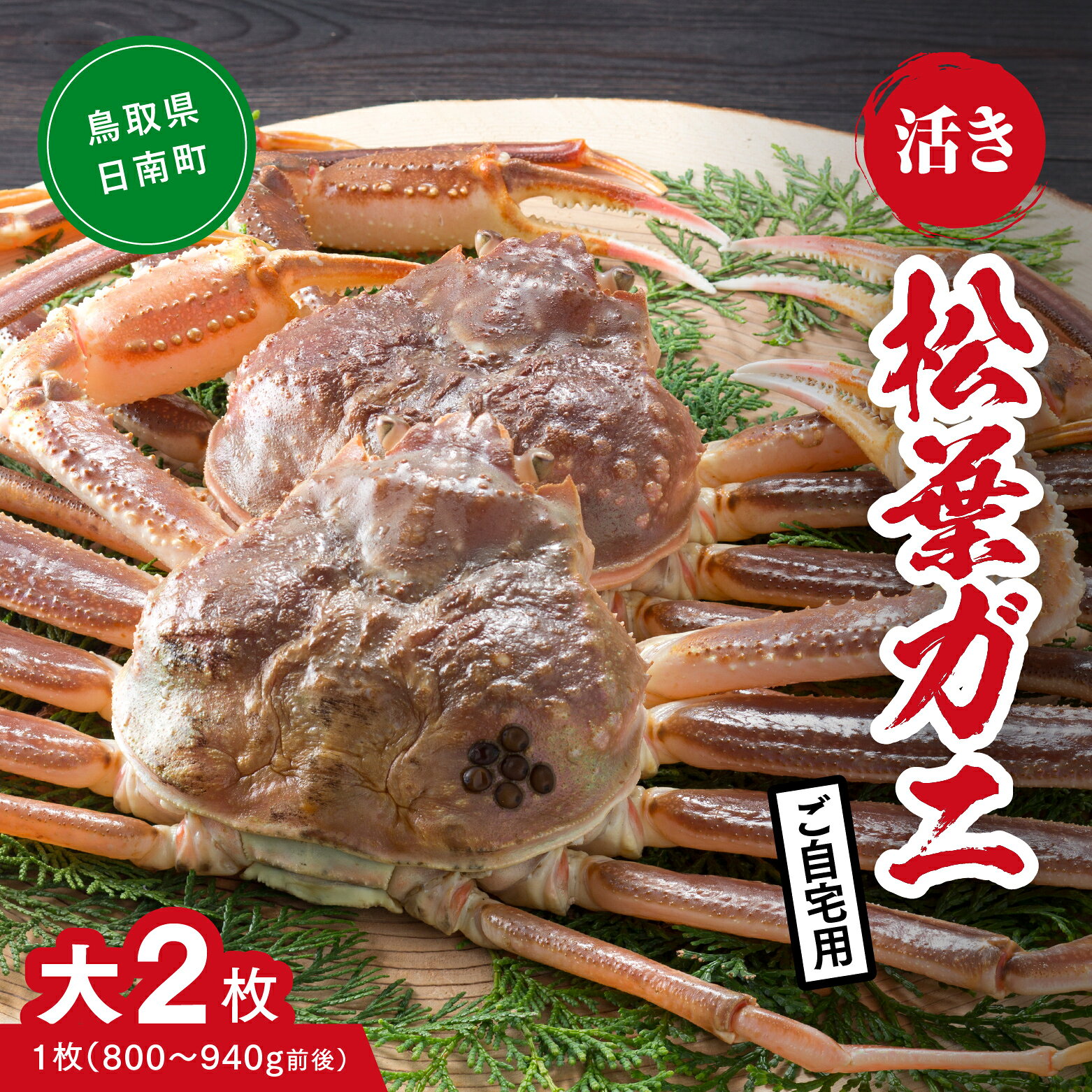 【ふるさと納税】【活き】ご自宅用 松葉ガニ 大 2枚 (1枚800～940g前後) カニ 蟹 松葉ガニ 松葉がに かに 鳥取 高間商店 日南町
