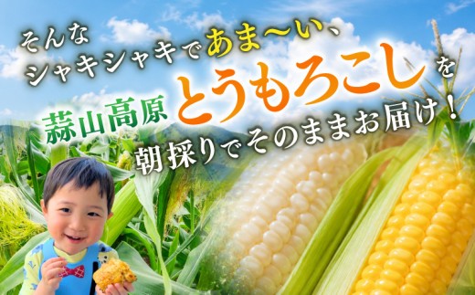 蒜山高原は毎年夏になると、とうもろこしを求めてお客様が詰めかけます。そんな朝採りのとうもろこしをぜひご家族でお楽しみください。