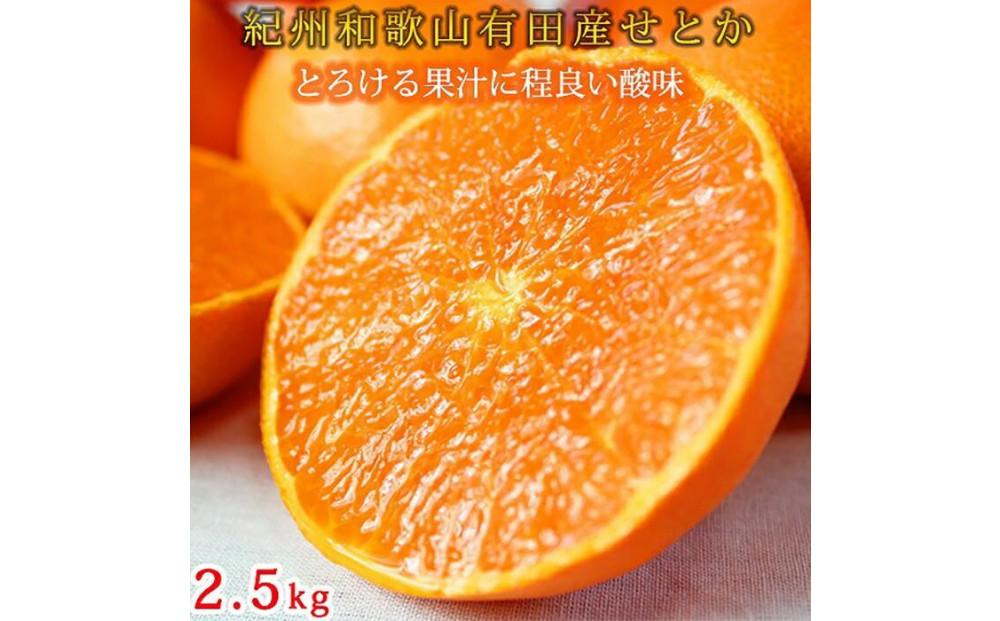 紀州有田産せとか約2.5kg　とろける食感！ジューシー柑橘【2026年2月上旬以降発送】【先行予約】【UT02】 303446_XF91017