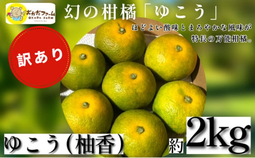 【幻の柑橘】2024年10月中旬順次発送～ 訳あり ゆこう 2kg 柑橘 徳島 みかん 柚子 すだち 酢 お酢 果汁 お酒 焼き魚 さっぱり オーガニック ふるさと納税 人気 