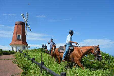 乗馬体験チケット 離島 大島コース 【カナディアンキャンプ乗馬クラブ】_HA1711
