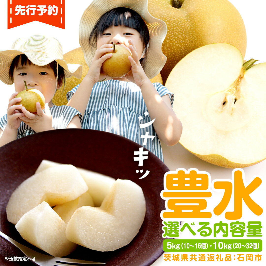 【ふるさと納税】＼ 選べる内容量 ／ 梨 豊水 約5kg 約10kg 【9月より発送開始】（茨城県共通返礼品：石岡市産）田舎の頑固おやじが厳選！ なし 豊水梨 果物 くだもの フルーツ 旬 高糖度 ギフト 美味しい 甘い デザート