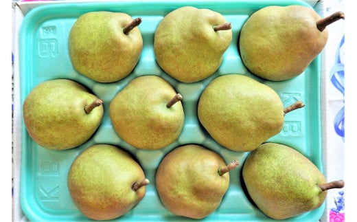 西洋梨（ラ・フランス）３ｋｇ　ご家庭用　0025-2514