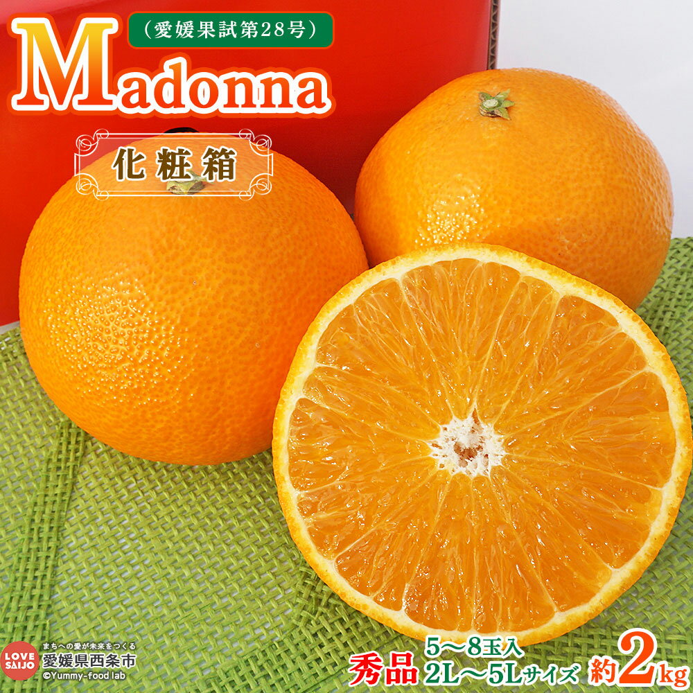 【ふるさと納税】＜Madonna 約2kg 化粧箱入り 秀品（2L～5Lサイズ 5～8玉）＞ ※2025年12月初旬～2026年1月中旬迄に順次出荷。 愛媛果試第28号 みかん ミカン 蜜柑 まどんな マドンナ 高級柑橘 果物 フルーツ 国産 プリンセスファーム 鴻上農園 愛媛県 西条市 【常温】