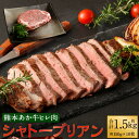 【ふるさと納税】あか牛 ヒレ肉 希少部位 シャトーブリアン 約1.5kg 約150g×10枚 ステーキ 赤牛 牛肉 牛 ビーフ ヒレ 食品 国産 九州産 熊本県産 冷凍 送料無料