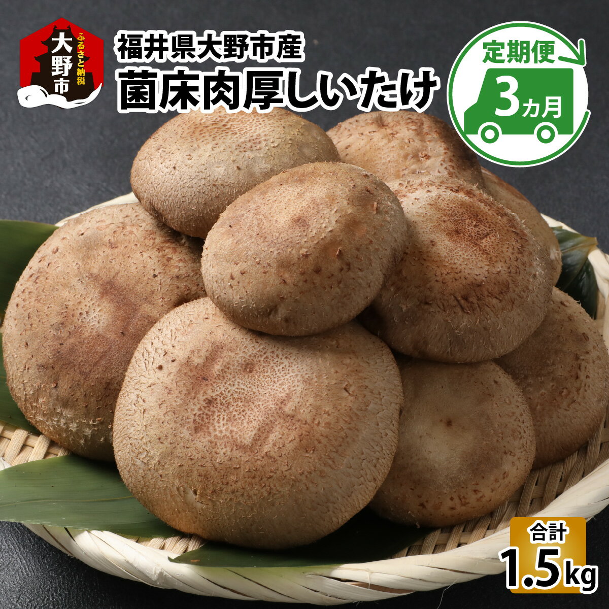 【ふるさと納税】【3ヶ月定期便】菌床肉厚しいたけ（福井県大野市産）500g×3回 計1.5kg[A-003020］