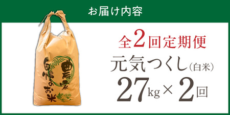 【定期便2回】【令和8年産 新米】福岡県産ブランド米元気つくし 白米 27kg×2回 _  元気つくし 27kg  お届け回数 2回 定期便 福岡県産 ブランド米 精米 新米 福岡生まれ 品種 香り豊