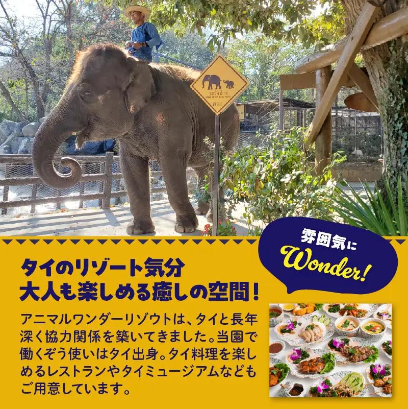 入園チケット 市原 ゾウの国 ペア 招待券 市原市 入場券 チケット