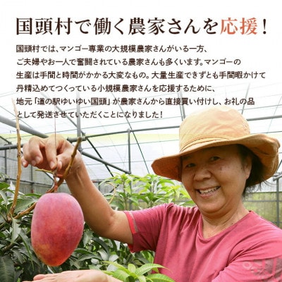 【2025年6月～8月の発送】秀品アーウィンマンゴー2kg(3～6玉)【配送不可地域：離島】