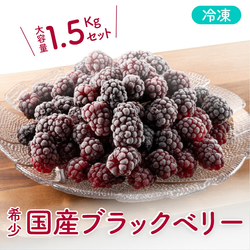 【ふるさと納税】 フルーツ ブラックベリー 冷凍 無農薬栽培 1.5kg 500g × 3袋 新潟 阿賀 ブラックフーズ 送料無料